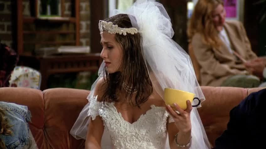 老友记/六人行/Friends 第一季 第一集 S01E01 The One Where Monica Gets a Roommate / 试播