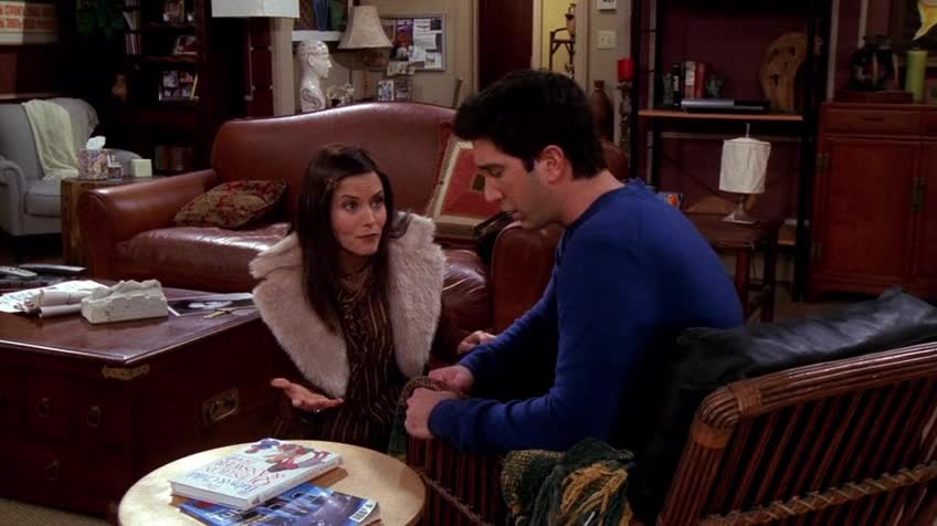 老友记/六人行/Friends 第八季 第十六集 S08E16 The One Where Joey Tells Rachel / 乔依告诉瑞秋